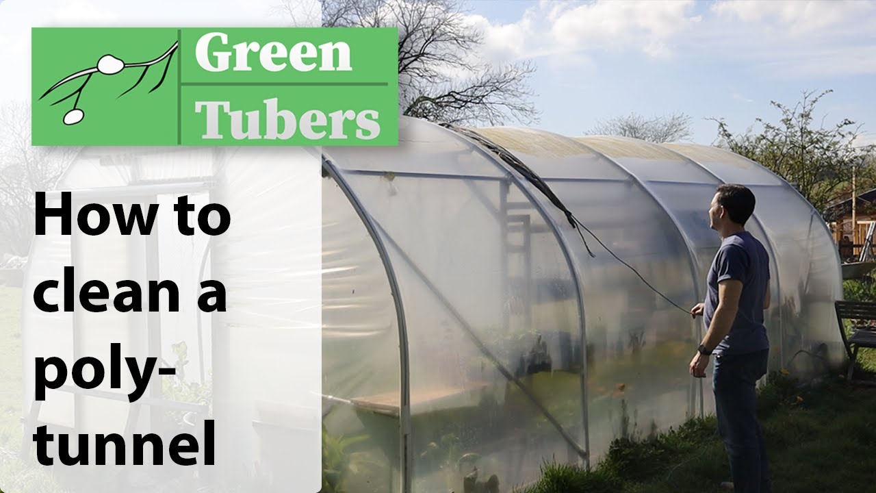 How to clean your polytunnel