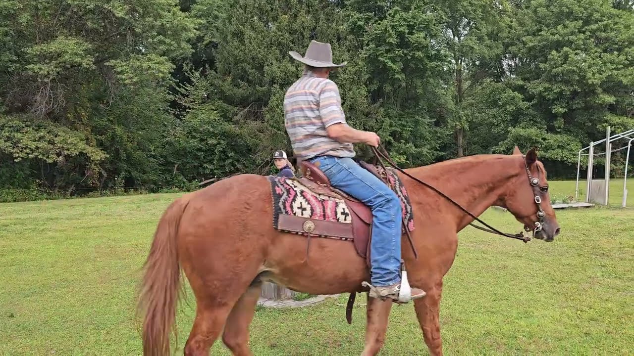 Доверие, командная работа и преодоление препятствий ❤️🐎 | Настоящее партнёрство | Лучшие друзья и...