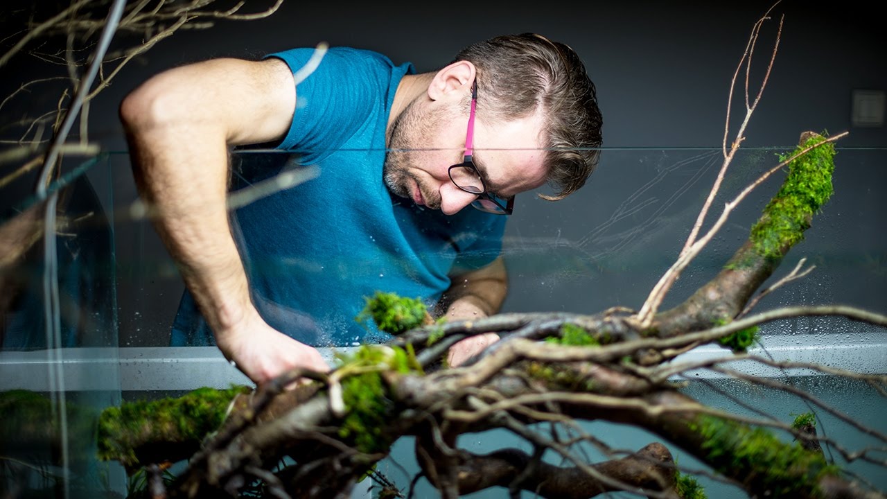 Projekt Akwarium Naturalnego - ADA /Nature Aquarium Project/