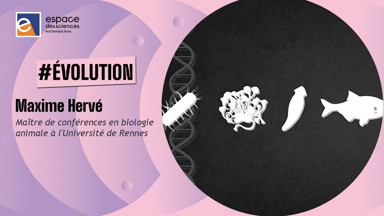 🧬 [Maxime Hervé] L'évolution du vivant, un progrès ?