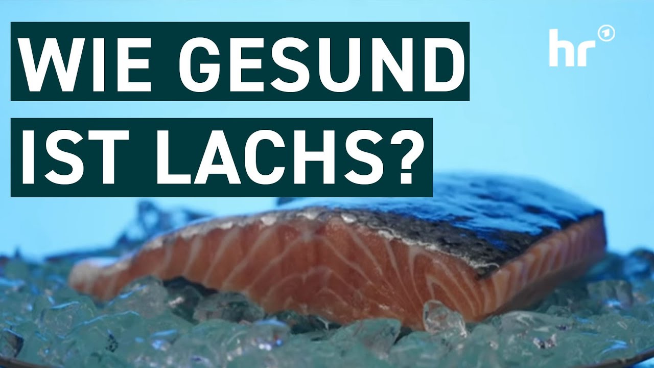 Lachs aus Norwegen in der Kritik | Die Ratgeber