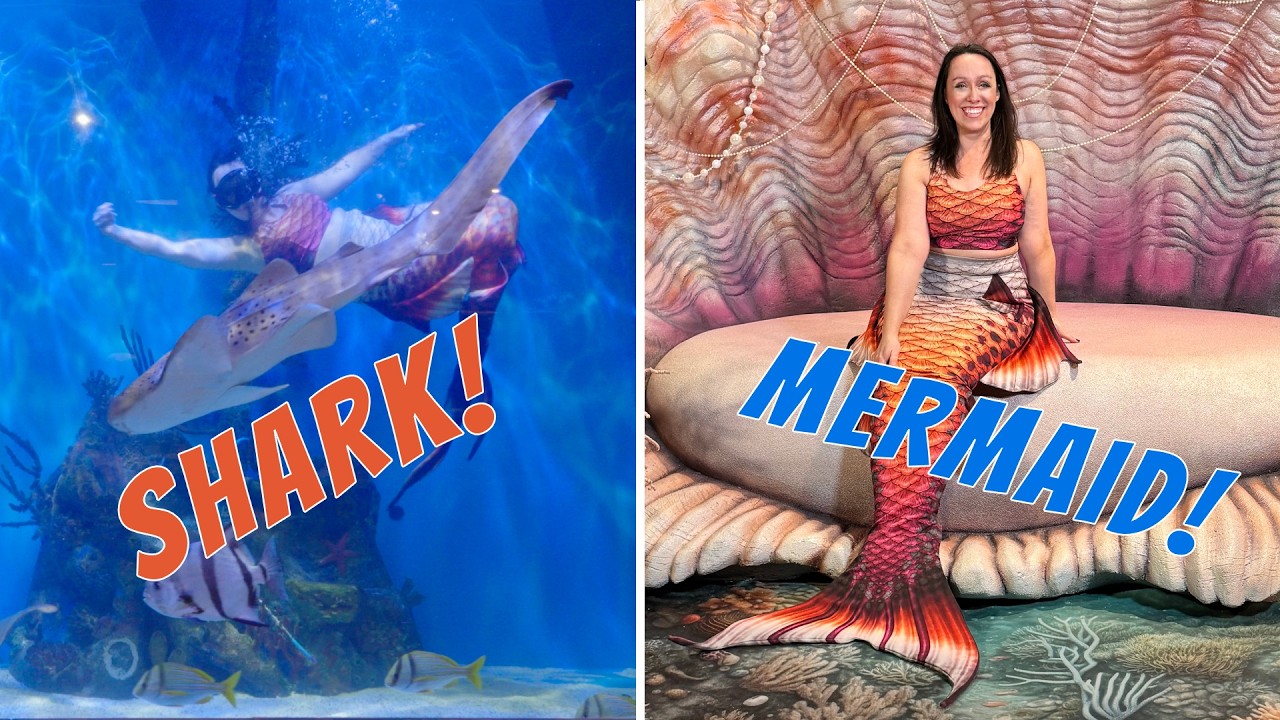 I Got My Mermaid Tail and This Happened