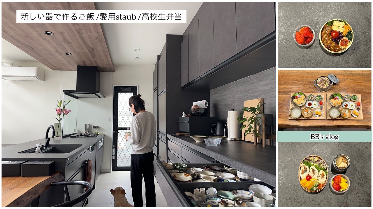【vlog】新しい器で作るご飯🍽️愛用staub🍲高校生弁当🍱味噌専門店🍙