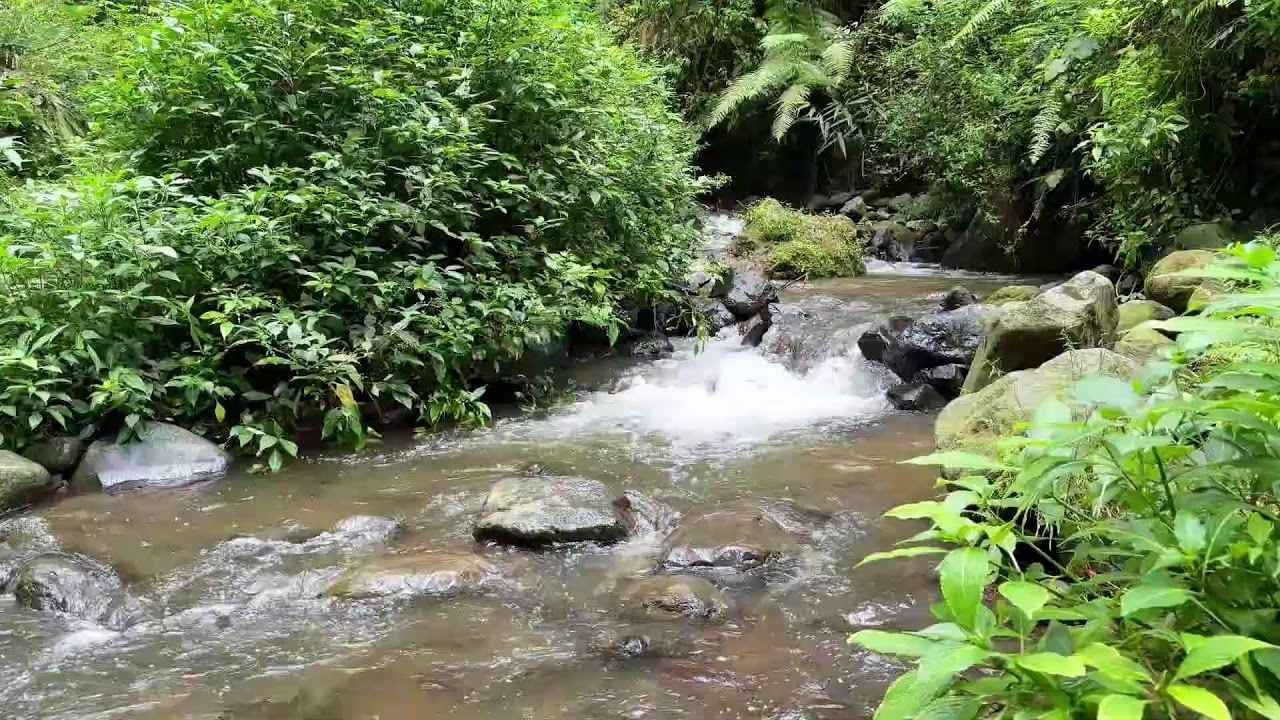 Relax to river sound in calm peaceful woodland air promoting calm brain waves for deeper sleep