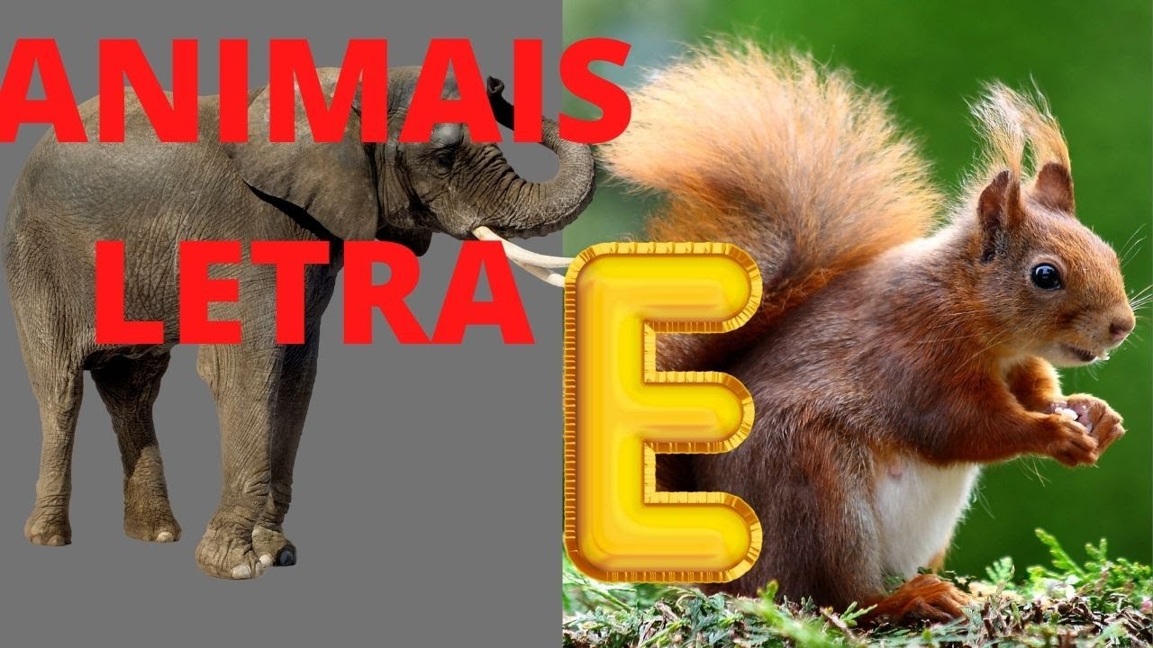 ANIMAIS QUE COME&Ccedil;AM COM A LETRA E / BICHOS QUE COME&Ccedil;AM COM E DO ALFABETO PORTUGU&Ecirc;S/BICHOS COM E.