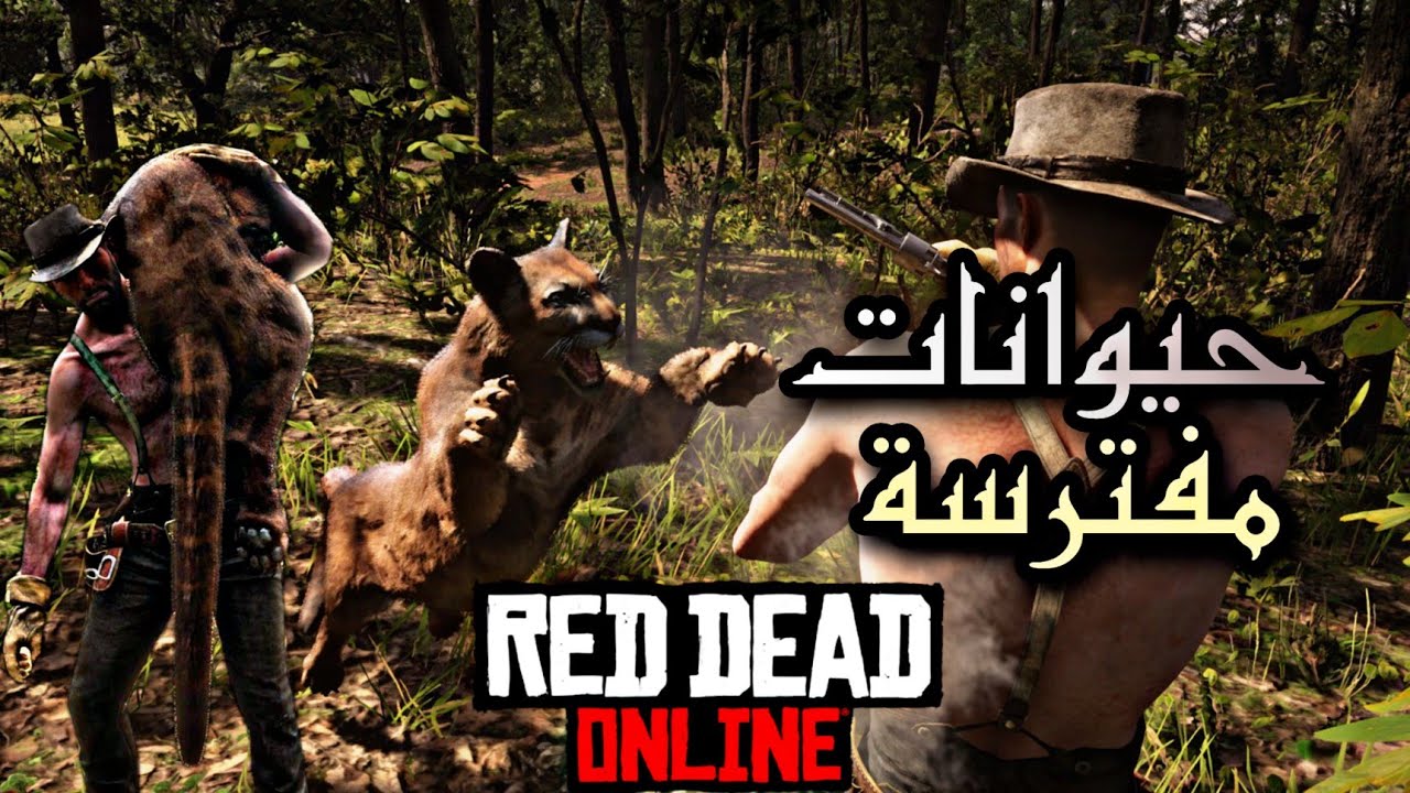 جربت اصيد الحيوانات المفترسة بأستخدام الطعوم لوضيفة التاجر ريدديد اون لاين rdr2 online