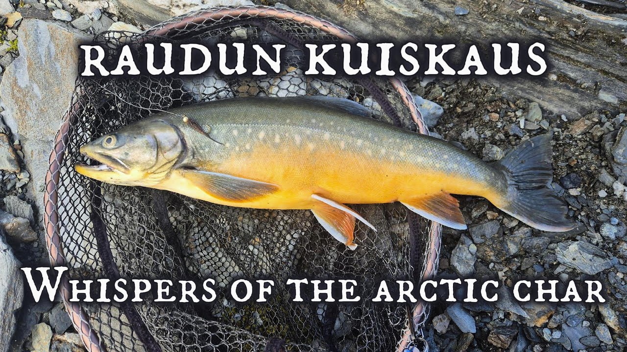 My First Ever ARCTIC CHAR!
