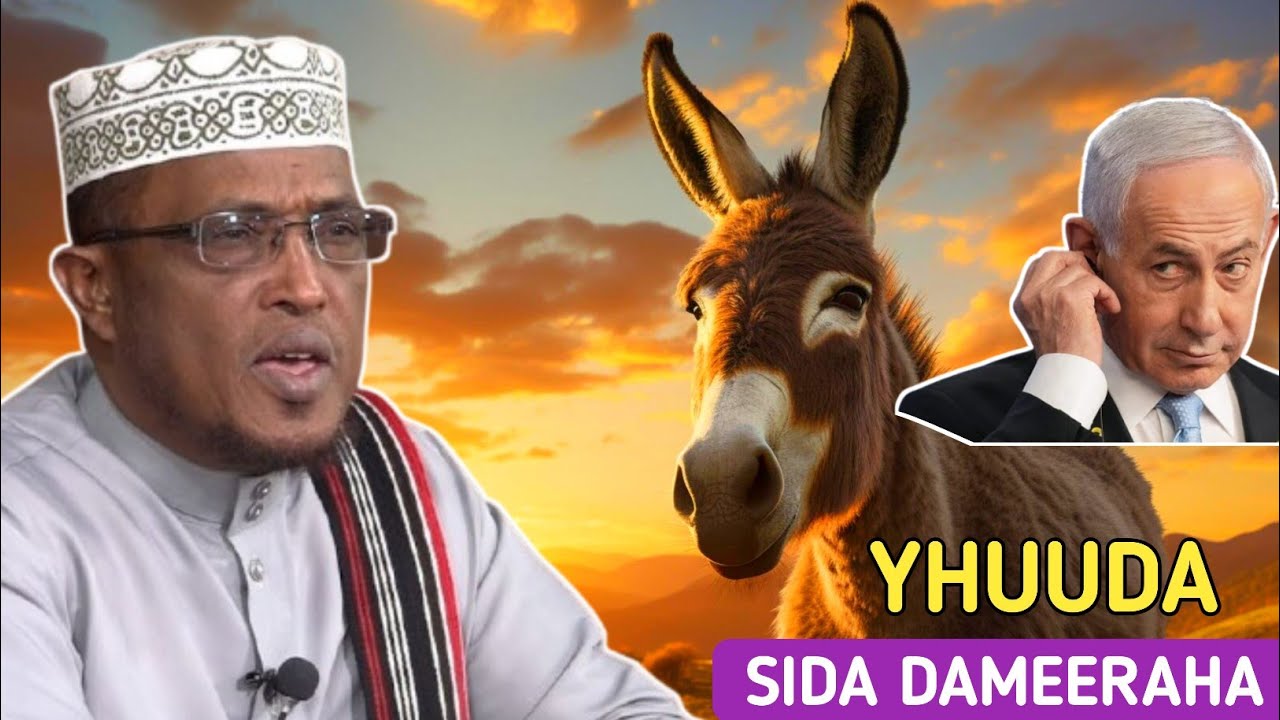 SH DIRIR 