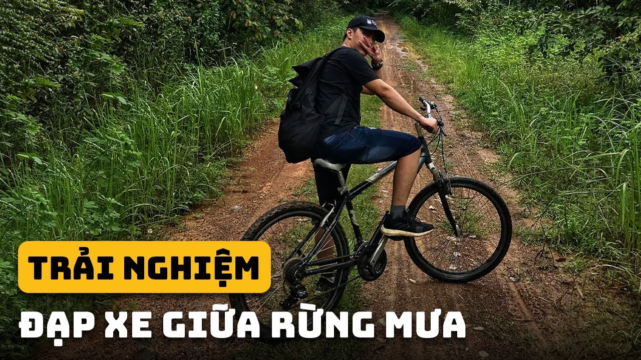 Chill cuối tuần ở rừng Nam Cát Tiên | Đồng Nai Có Gì