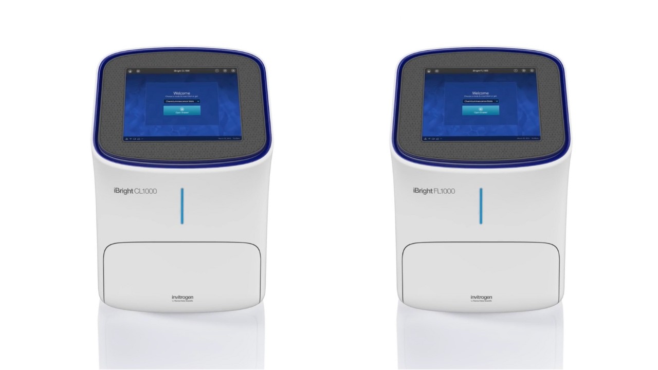 iBright Imaging System Demo: Chemi & Gel Imaging Simplified