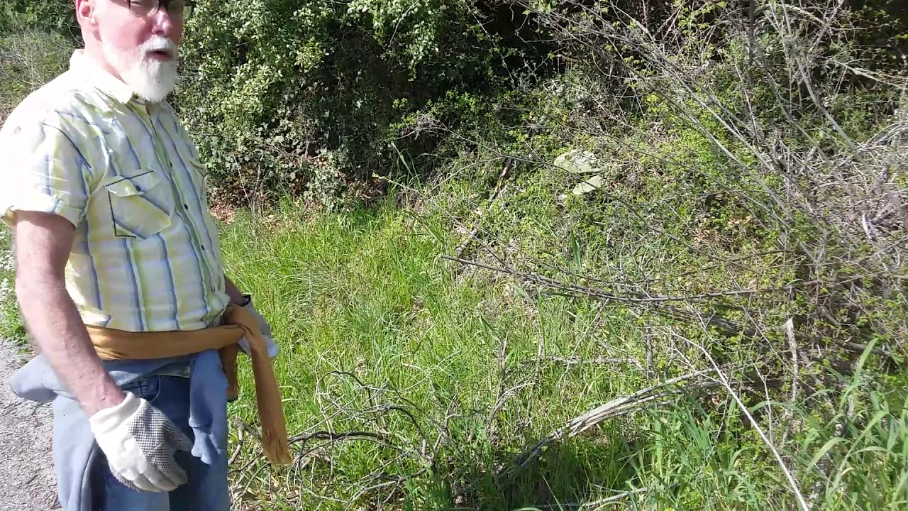 Roughcut #7 Hunting for Wild Asparagus