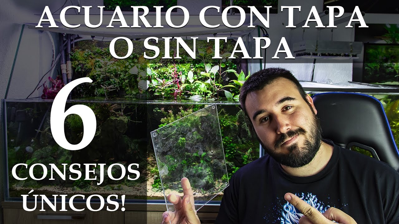 💧 🌱 ¿ACUARIO CON O SIN TAPA? 🐠¿MARINO O DULCE? 🐟¡DESCUBRE TODOS LOS MOTIVOS!✔️