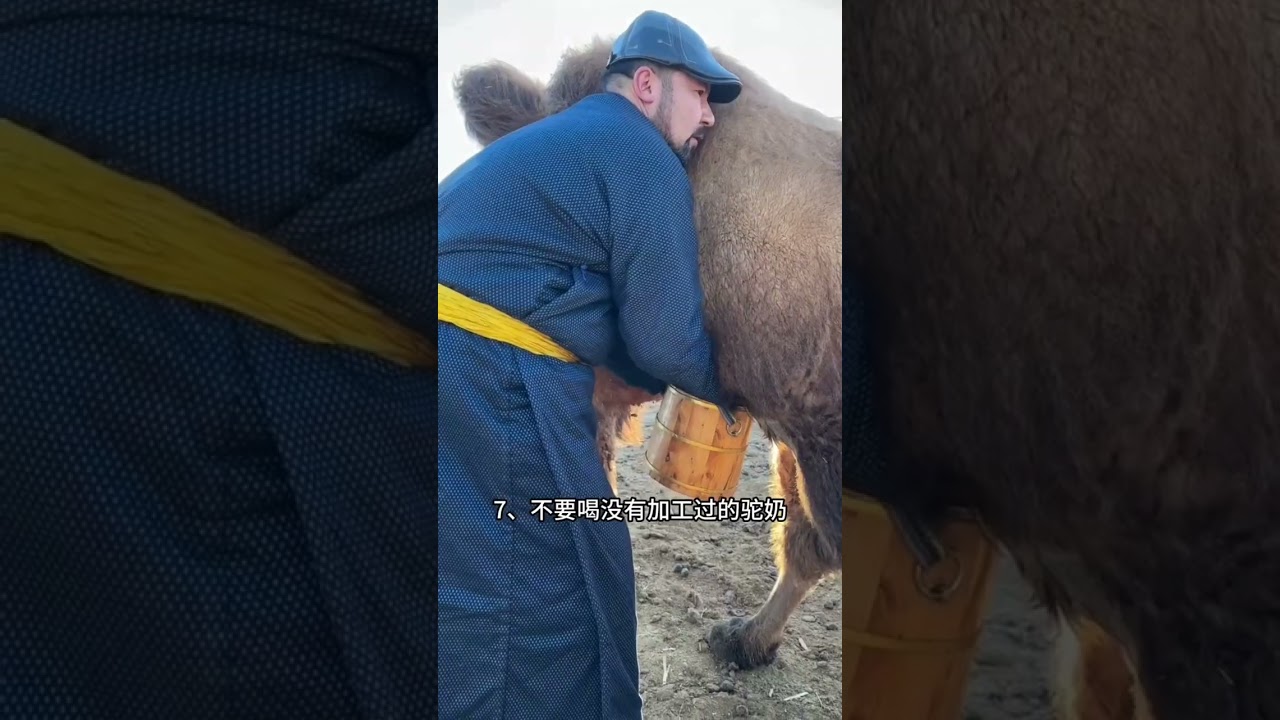 新疆旅行十四大警告