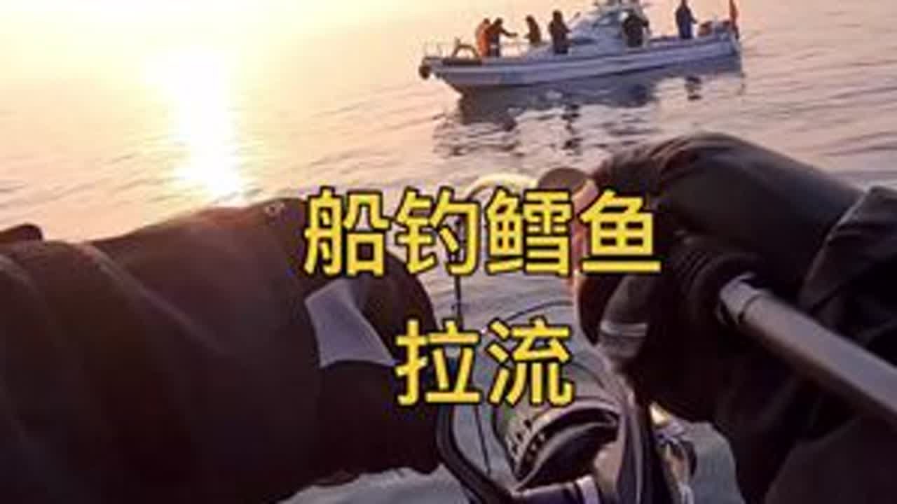 今年第三趟近海海区钓鳕鱼，铁板鱼口不好的时候，还得玩玩拉流，钓点小黄鱼，保证一下鱼获吧。#dou是钓鱼人 #青岛#海钓#船钓
