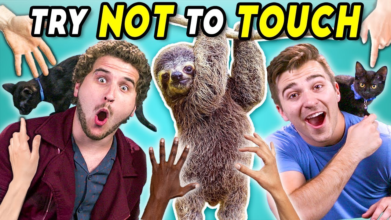 Try Not To Touch Challenge (ft. Sid The Sloth!)