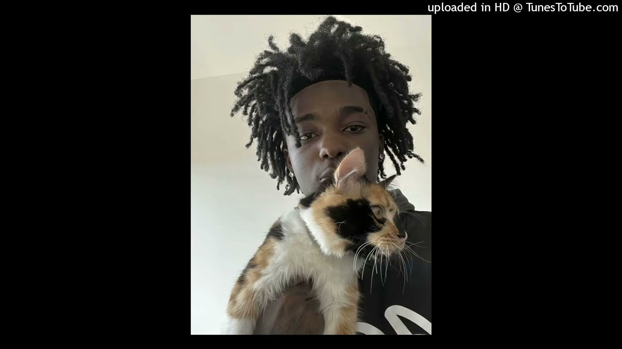 [free] pradabagshawty + babystaydown type beat - 