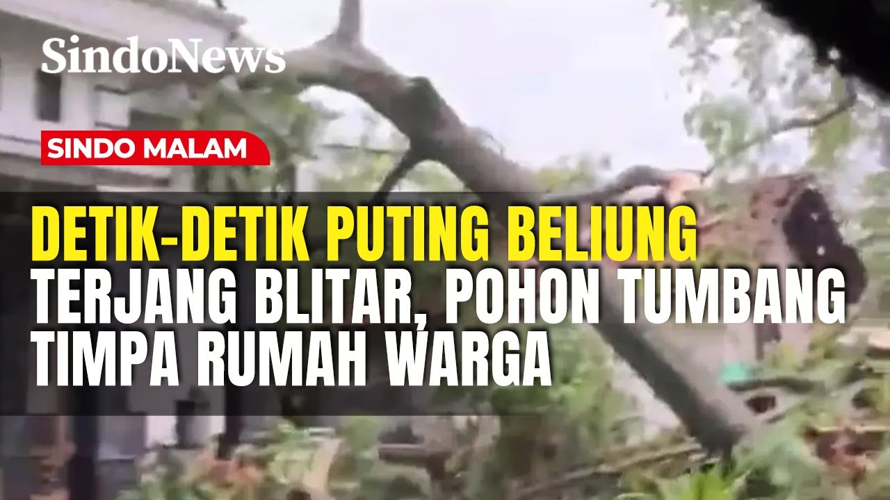 Puting Beliung Terjang Ponggok Blitar, Pohon Tumbang Timpa Rumah Warga | Sindo Malam | 31/01
