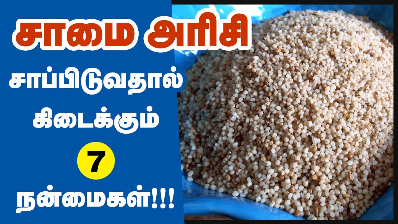 சாமை அரிசி நன்மைகள் | Top 7 Health Benefits of Little Millet(Samai) | Samai Rice Benefits in Tamil
