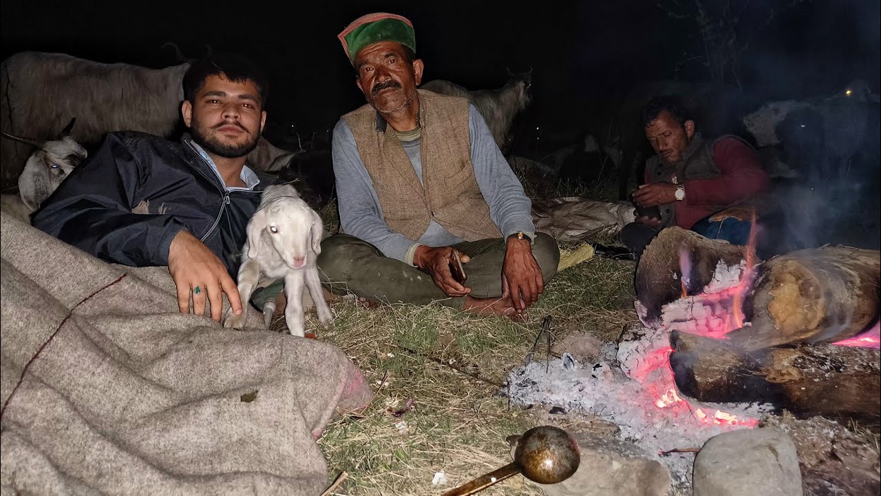 Life of Himalayan shepherds in most dangerous forest