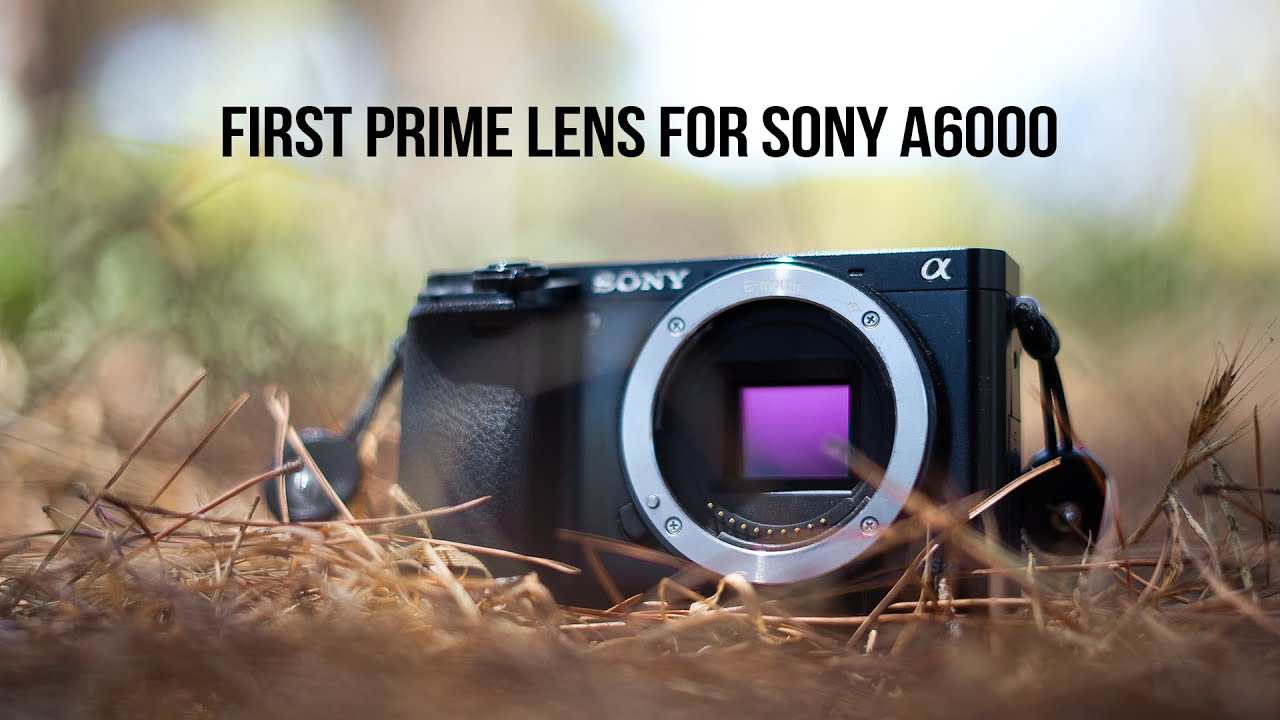 Первый объектив PRIME для серии SONY A6000 // Какой купить?