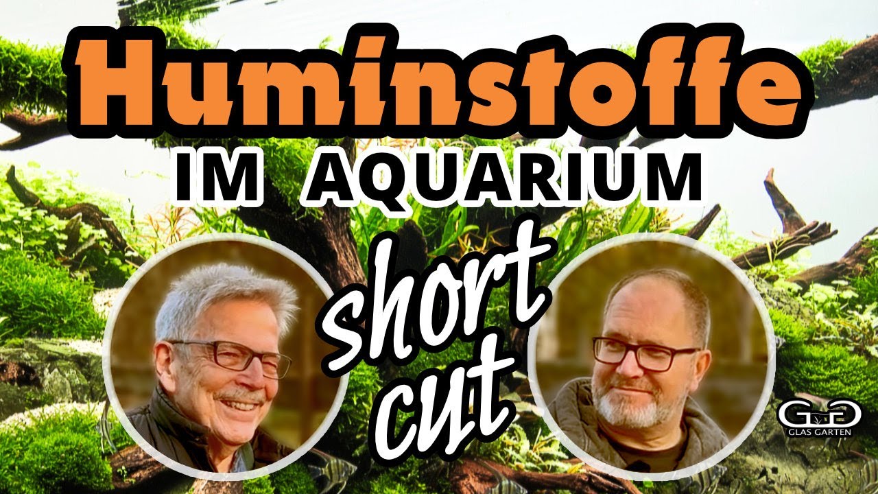 Ein Aquarium ohne Huminstoffe ist Tierquälerei! (Huminstoff-Interview Kurzversion)