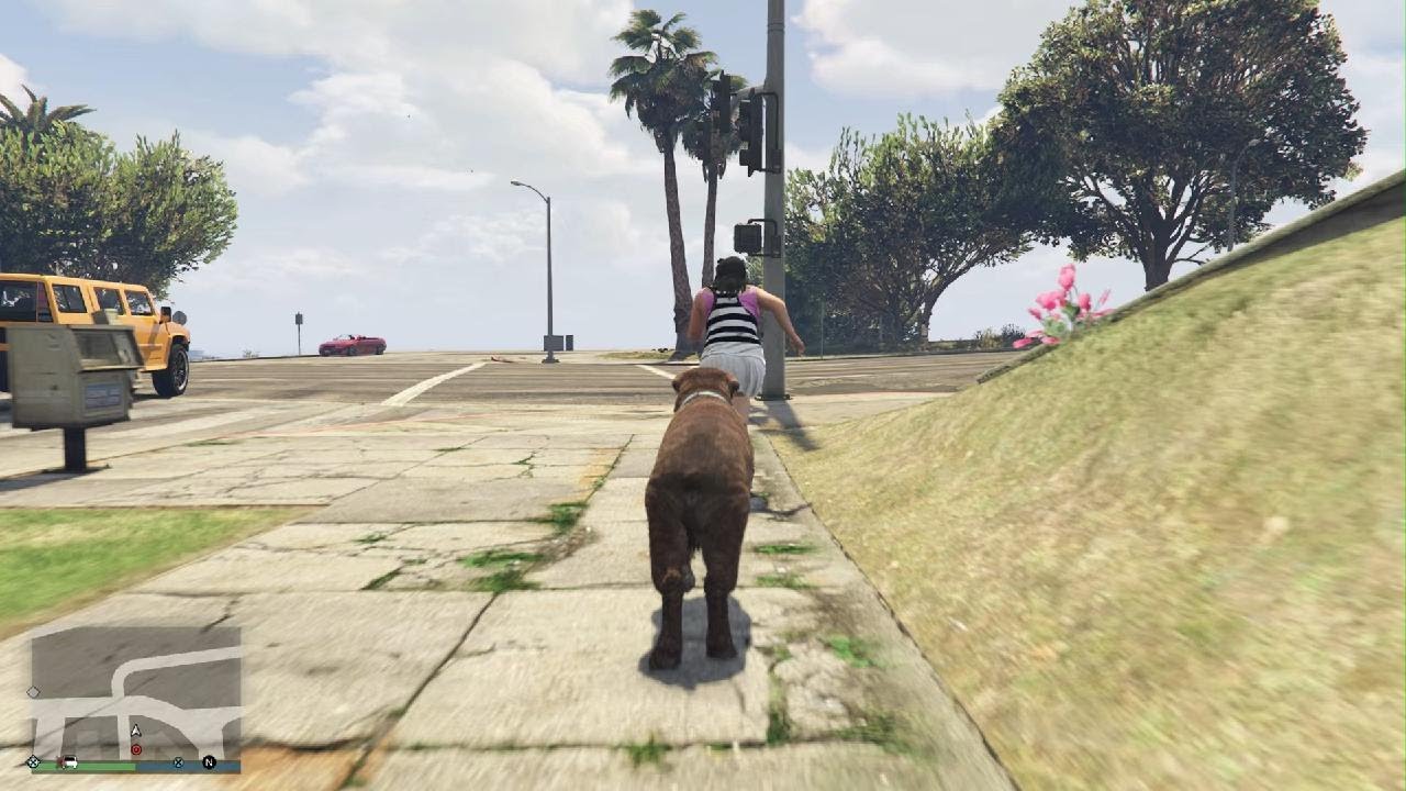 Grand Theft Auto V_ A DOG'S DAY OUT
