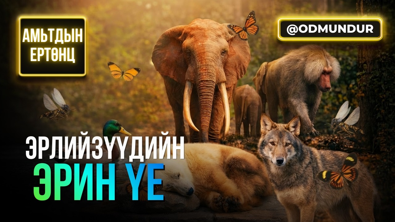 Эрлийзүүдийн эрэн үе - АМЬТДЫН ЕРТӨНЦ