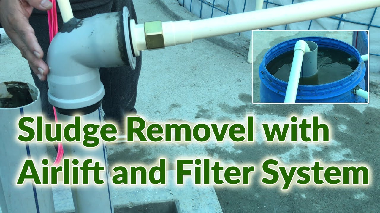 Airlift Technique to Remove Sludge and Filtration System to improve water Quality in Biofloc Tank.