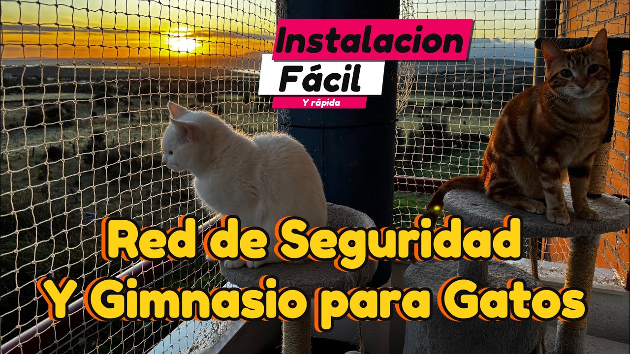 RED DE SEGURIDAD PARA GATOS INSTALACION FÁCIL GIMNASIO EN CASA