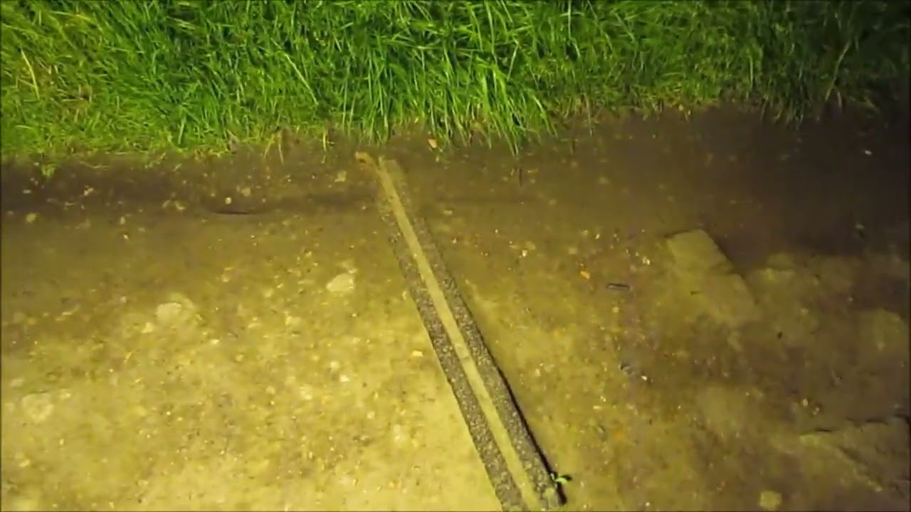 Elsecar Reservoir Part One
