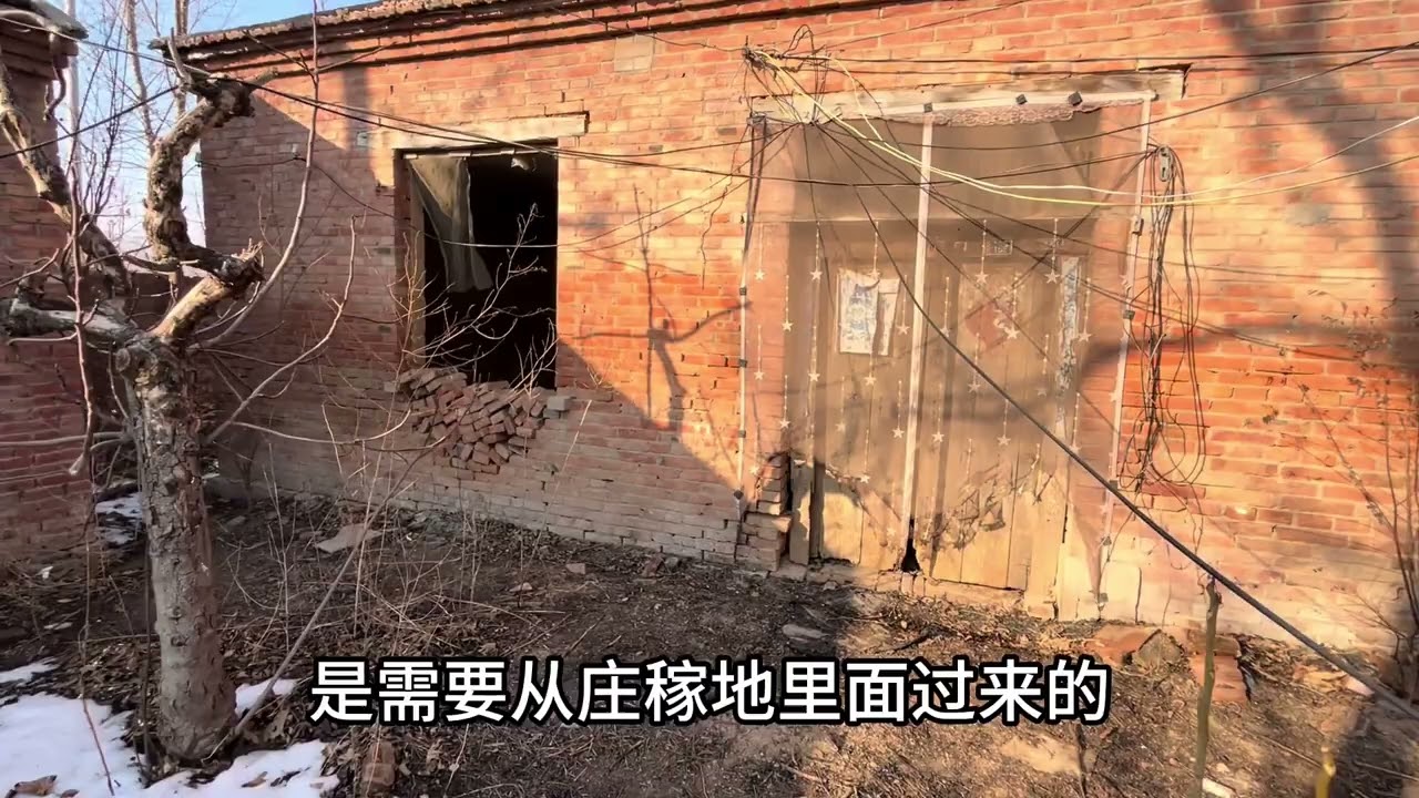 山东一个拆迁村仅剩的房屋，四周被田地包围，到处一片荒凉#山东 #钉子户 #田野