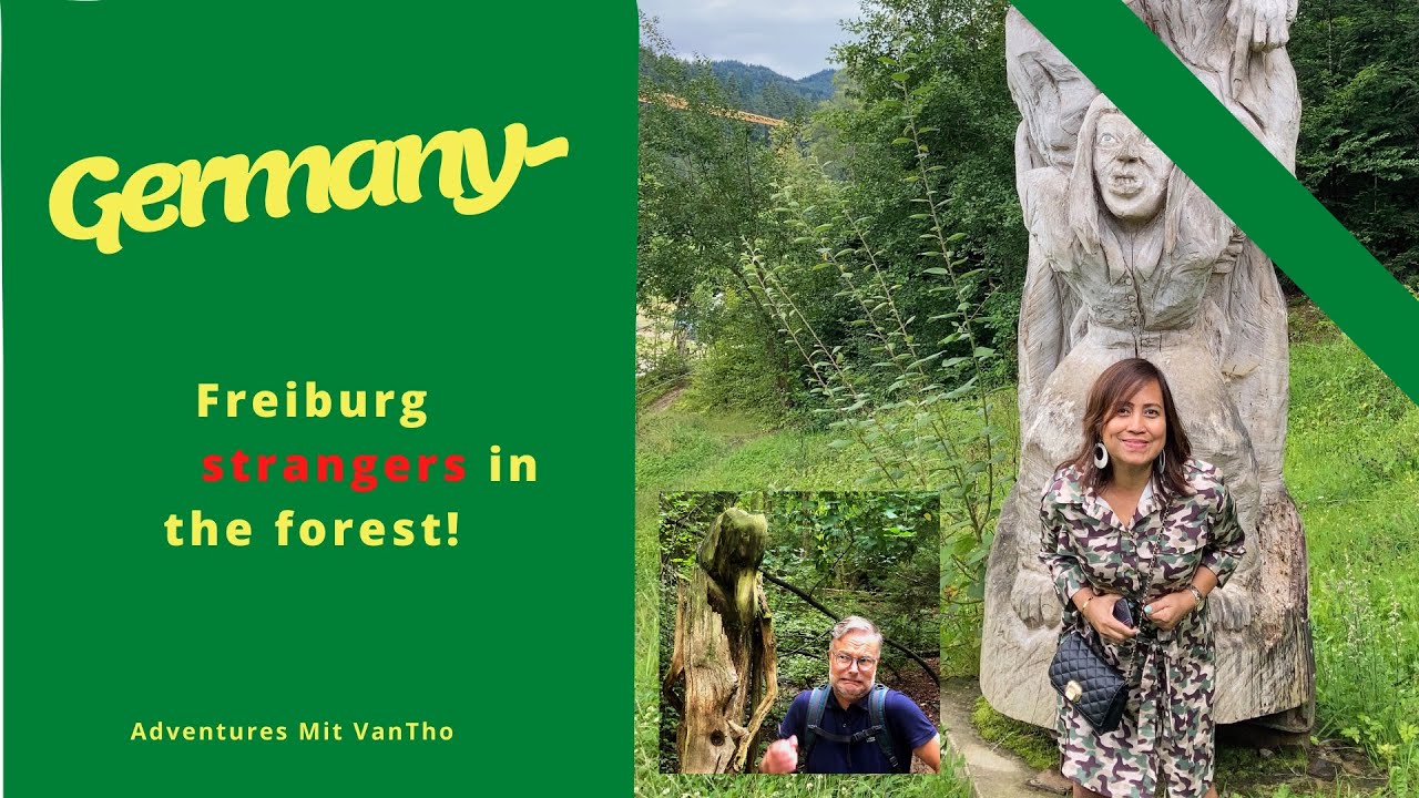 Germany/ Baden Würtemberg / Freiburg -Strangers in the forest