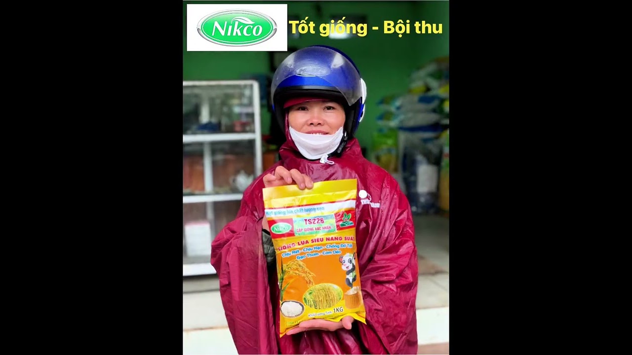 nhạc xuân ghép hình ảnh công ty