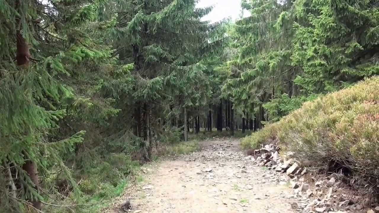 Hala Rysianka-Lipowska-Boracza - Beskid Żywiecki