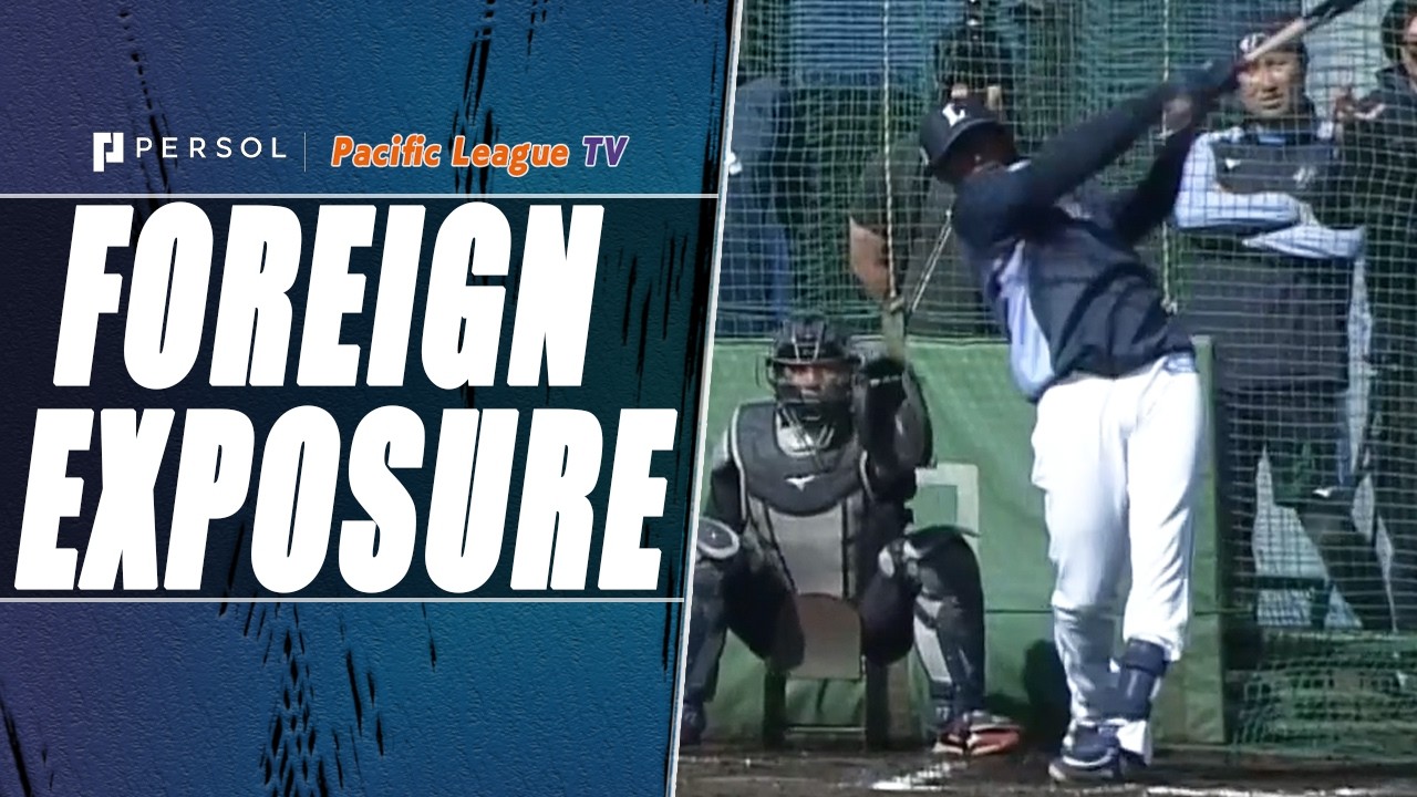 Alexander Canario : Elite Power & All-Fields Approach!!