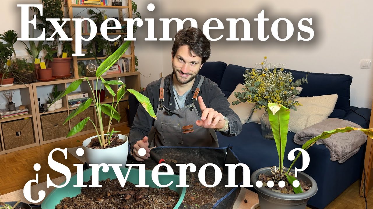 Información Útil de Esquejes y más Cosillas