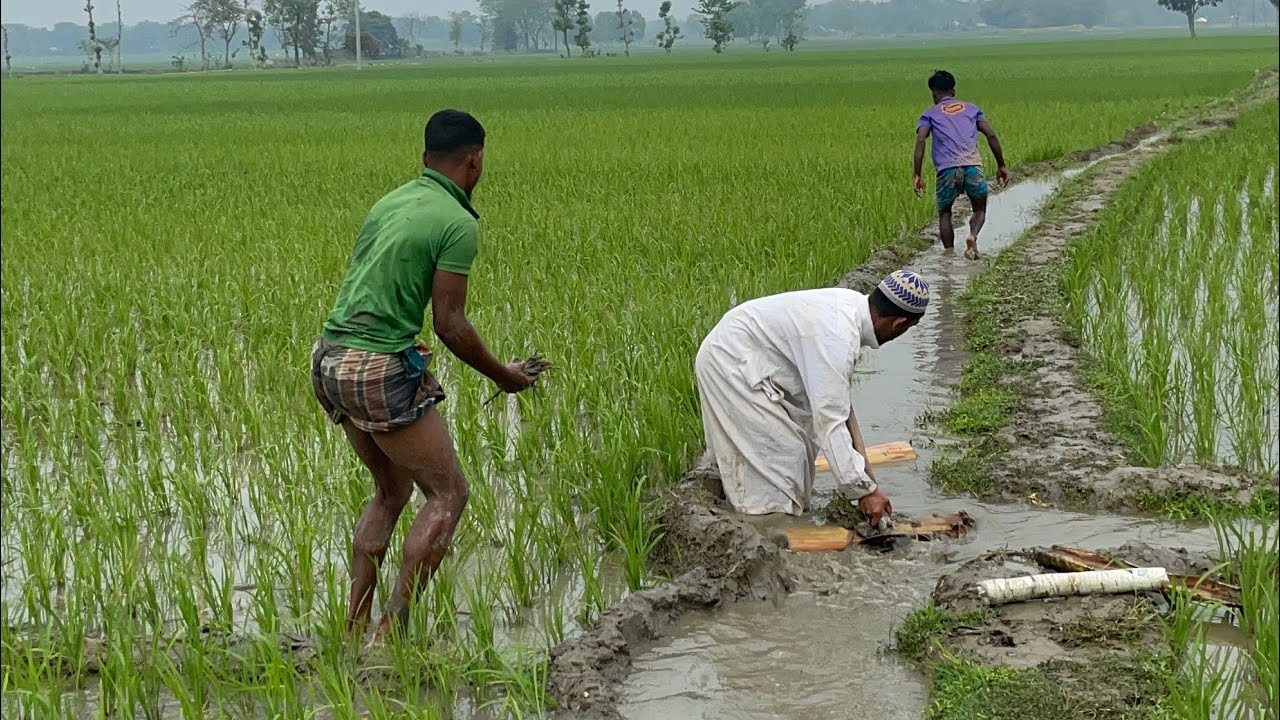 কি করে 🤣🤣