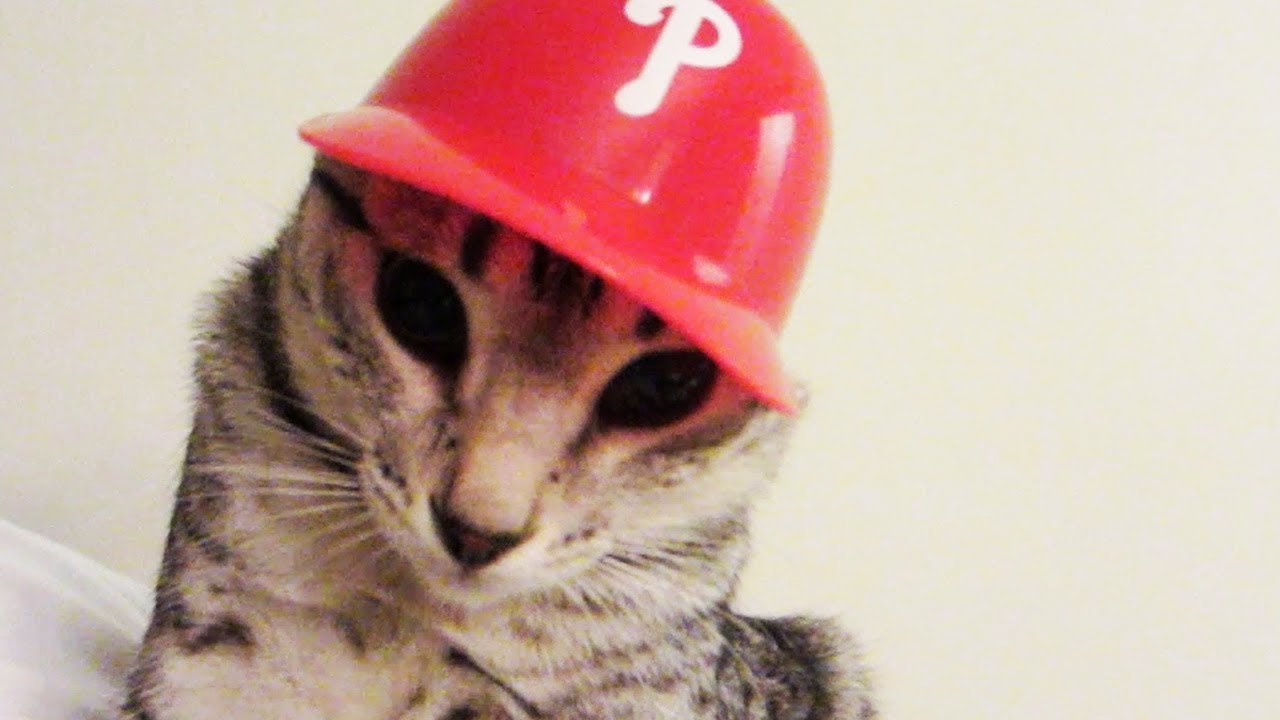 BASEBALL KITTY