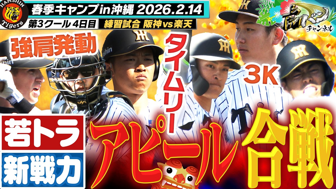 【今シーズン宜野座初戦！】伏見の強肩＆中川の先制タイムリーなど若トラ＆新勢力が対外試合で存在感！将来の主役へ名乗りを挙げる！阪神タイガース密着！応援番組「虎バン」ABCテレビ公式チャンネル