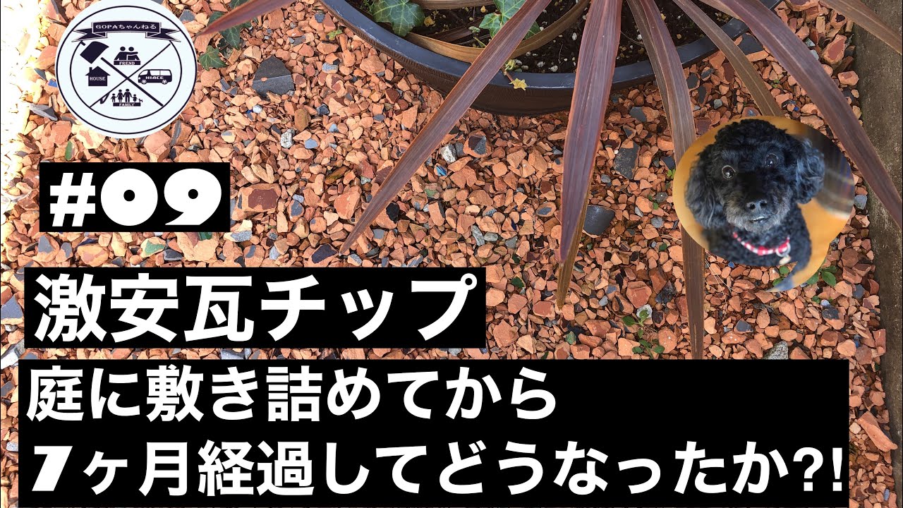 ［平家DIY#09］激安瓦チップ庭に敷き詰めてから7ヶ月経過してどうなったか⁈