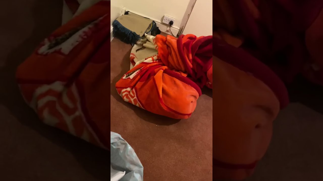 Kid stuck in a blanket 🤣😀🤣