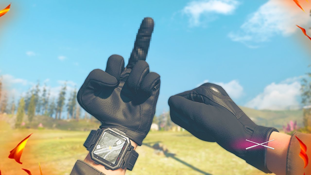 I FLIPPED OFF WARZONE PLAYERS FOR A DAY and they got so angry
