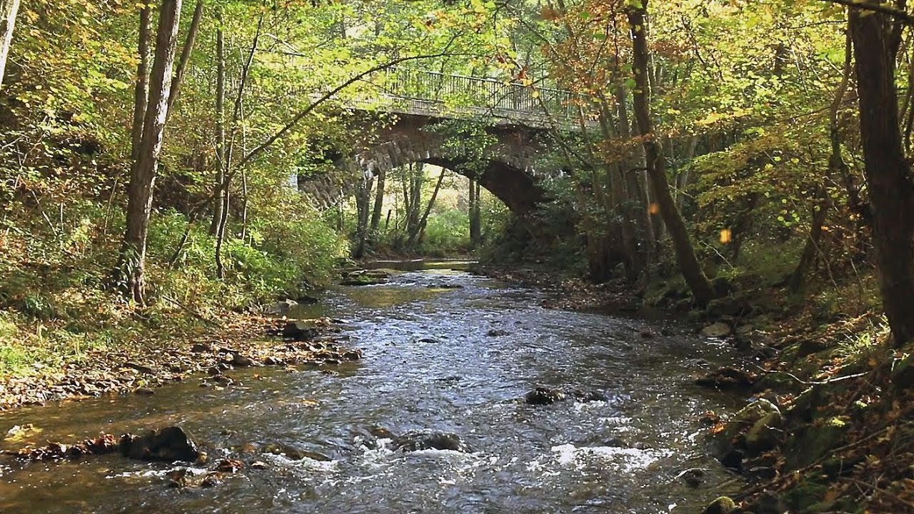 Unterwegs an der Ruwer | Fahr mal hin | SWR Fernsehen