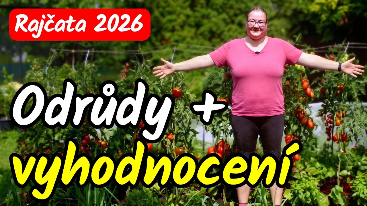 👩&zwj;🌾🍅 2/2 VELK&Yacute; TEST ODRŮD RAJČAT 2026! Moje hodnocen&iacute;