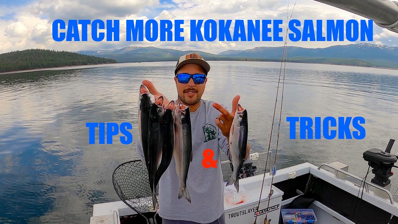How to catch more Kokanee SALMON (Guided Kokanee FISHING TRIP) Stampede Reservoir