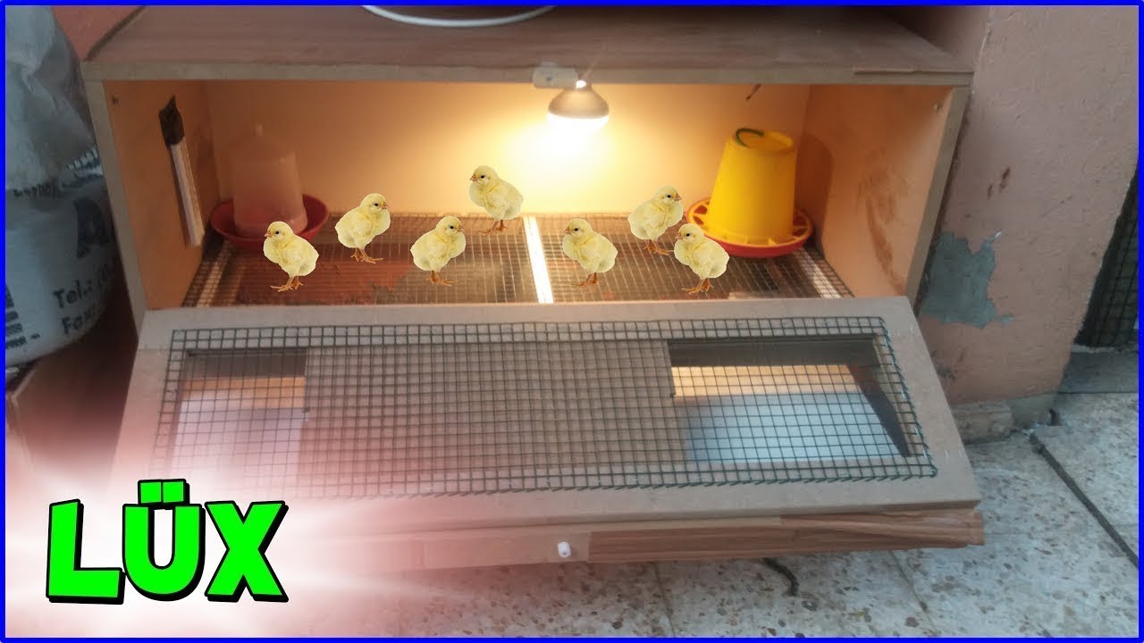 ULTRA LÜX CİVCİV KAFESİ TANITIM ! (Ana Kucağı)