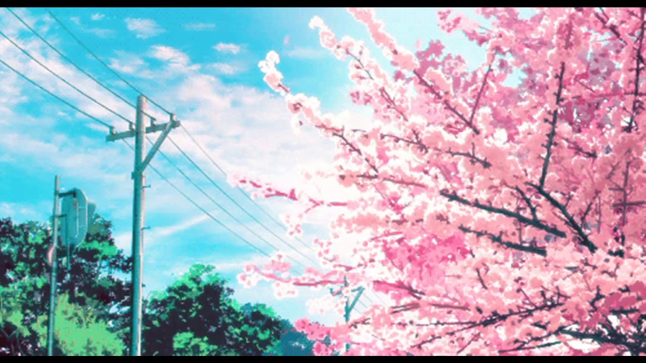 shawn mendes - lost in japan / slowed + reverb /