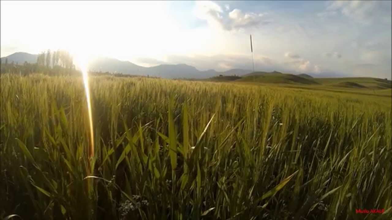 KÖY önü 2014 MAYIS / TUFANBEYLİ ADANA /Time Lapse /GoPro