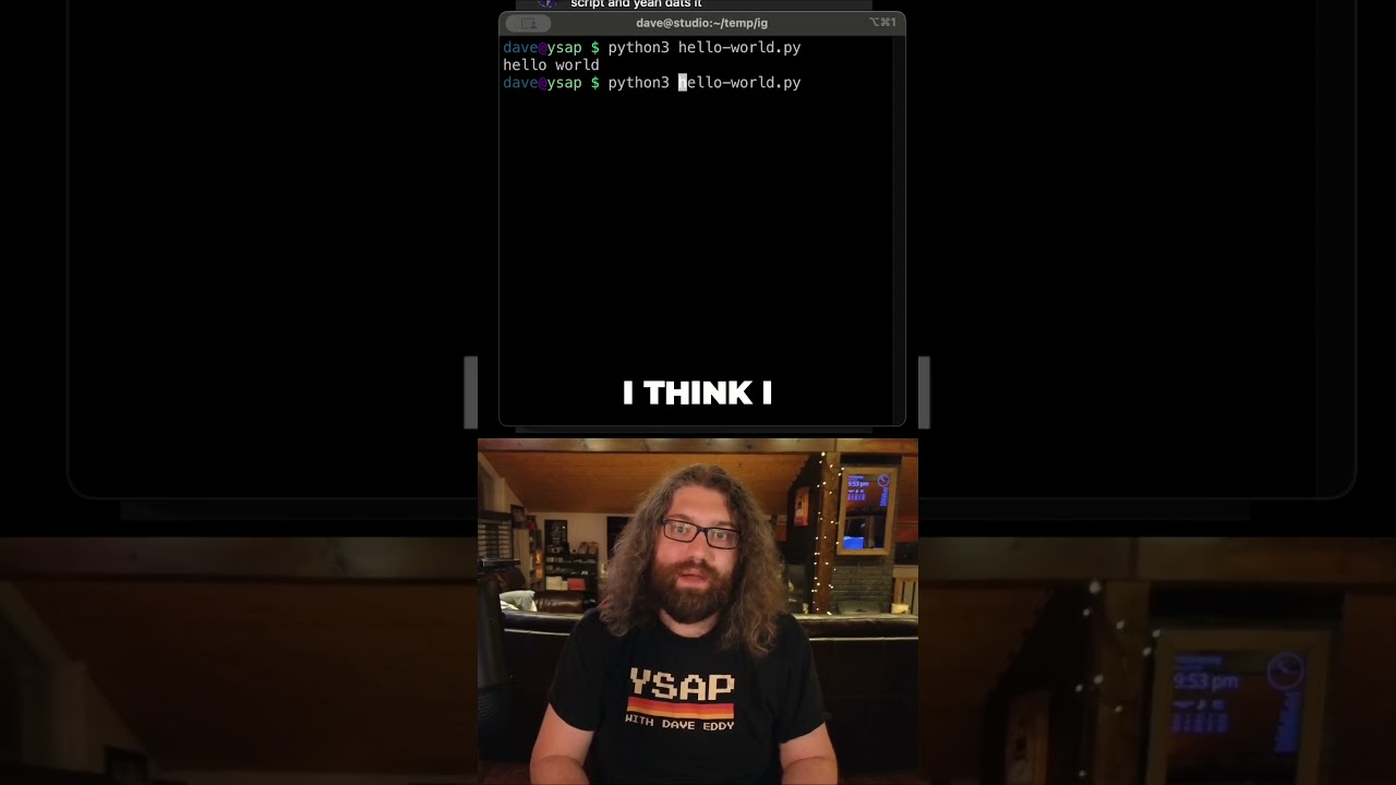 Do You Really Need a Shebang in Bash or Python Scripts?
