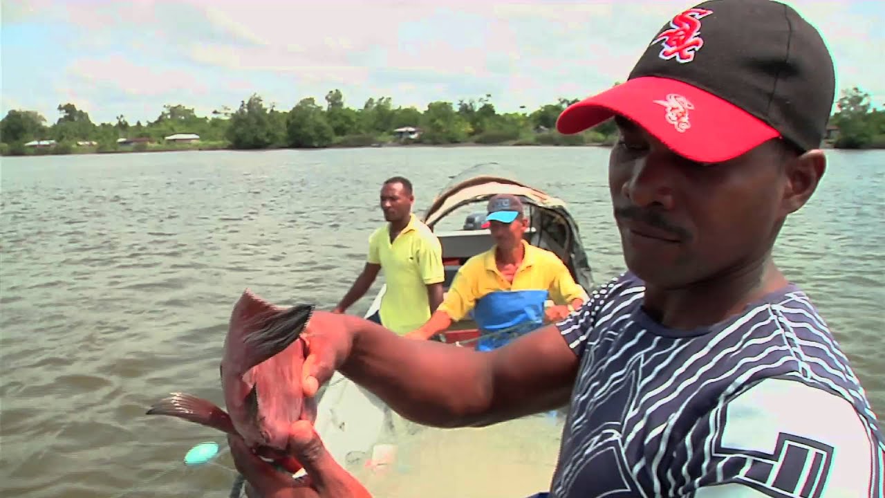 Familias pescadoras duplican producci&oacute;n en Guapi, Cauca